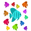 Tropical fish aquarium