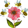 Insects