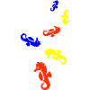 Seepferd Bunt