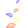 Muschel Schnecke Bunt