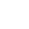 White birds