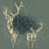 Deer Roe deer geometrically