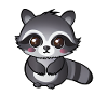 Raccoon
