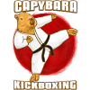 Capybara Martial Arts Kickboxing