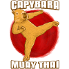 Muay Thai Capybara