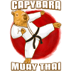 Muay thai