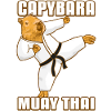 Muay Thai Capybara