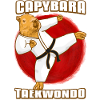 Capybara Taekwondo