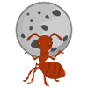 Ant carries moon ants