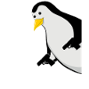 Penguin Joke Banguin Funny Penguins