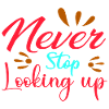 Never Stop Looking Up