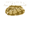 Königspython Banane Königspython Schlange