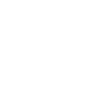 Schornsteinfeger