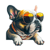 French Bulldog with sunglasses