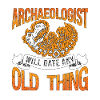 Archaeology Archaeologist Will Dig Archaeologist