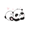 Panda K-Drama