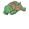 Family - Turtle with baby turtle