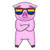 Gay Rainbow - Cochon à lunettes