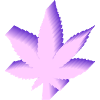 Modern Weed Leaf Design Lilac