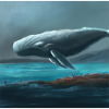 Whale floating in the sky