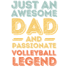 Papa Volleyball retro