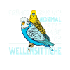 Wellensittich Vogel
