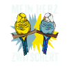 Wellensittich Vogel