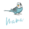 Wellensittich Vogel