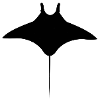 Manta A