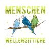 Wellensittich Vogel