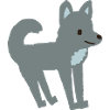Wolf Kinderbuch