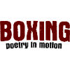 Boxsport Boxing