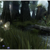 Magical forest