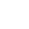 Life Without Horses