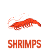 Shrimp Lover Gift