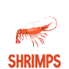 Shrimp Lover Gift
