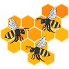 Honey Nids d'abeilles Nature Wildlife