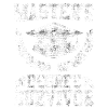 Master Survivant complété Master