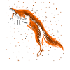 Fuchs Springen