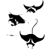 Ray fish