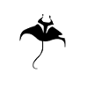 Fly Ray