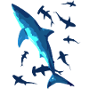 Great White Shark Sharks