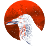 Red Moon Crow