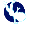 Breakdancer Breakdancing Dancers