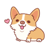 Søt liten Corgi hundevalp