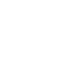 Bernedoodle