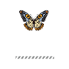 Epiphany - Der Geistesblitz