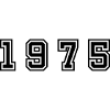 1975 Year Number