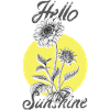 Hello Sunshine Summer