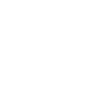 Valkyrie Valknut wings